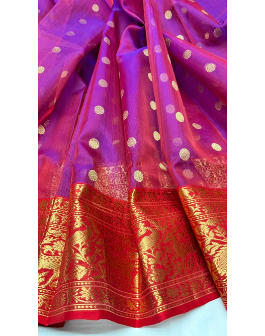 Dark purple tone Chanderi organza Katan silk saree with contrast red border